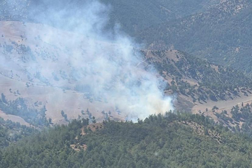 Adana'da orman yangını: Müdahale sürüyor