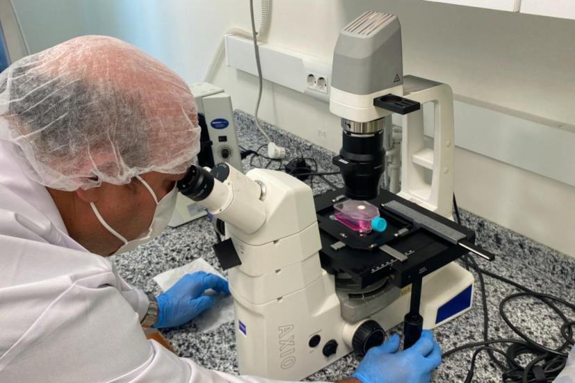Beyin kanseri tedavisinde etkili nano molekül geliştirildi