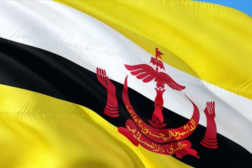 Brunei'de fiyatlar düşüşte