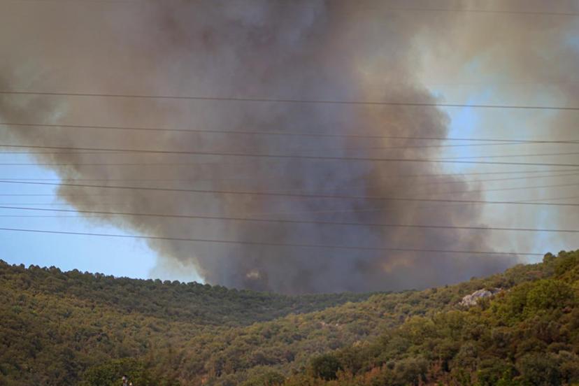 Bursa'da orman yangını: Havadan ve karadan müdahale sürüyor