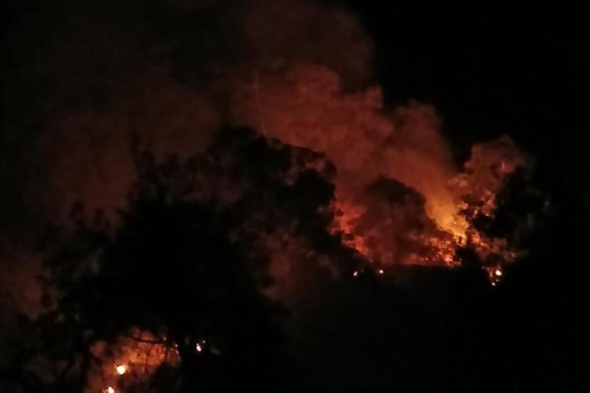 Denizli'de orman yangını