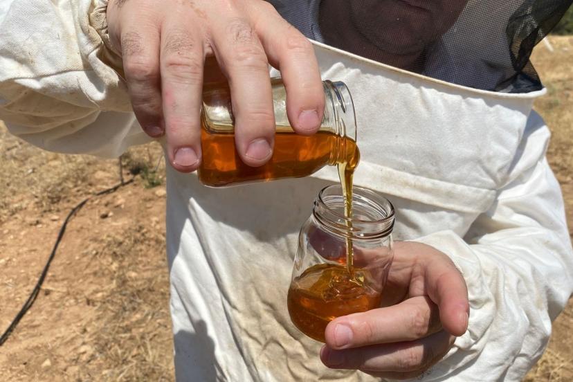 Dünyanın en iyisini Eskişehir'de üretti: 2 bin 925 prolin değeri var
