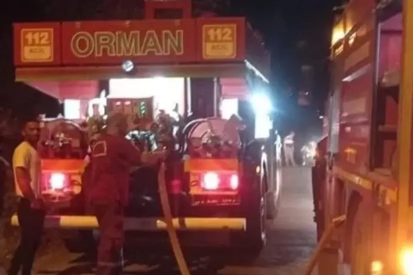 Hatay'ın Defne ilçesinde çıkan orman yangını ekiplerine müdahalesi sonucu söndürüldü.