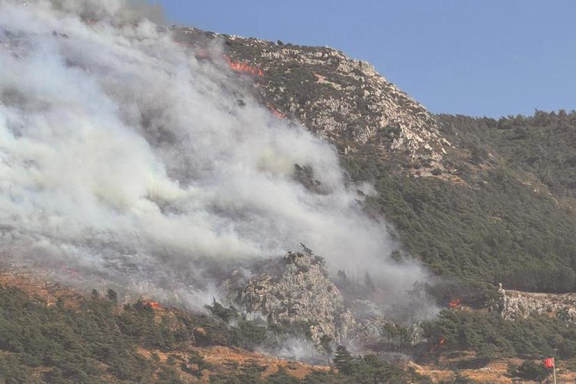 Hatay'da ormanlık alanda yangın