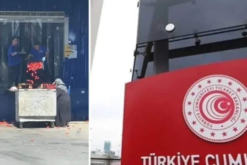 İstanbul'da çöpe dökülen domateslerle ilgili Ticaret Bakanlığından açıklama