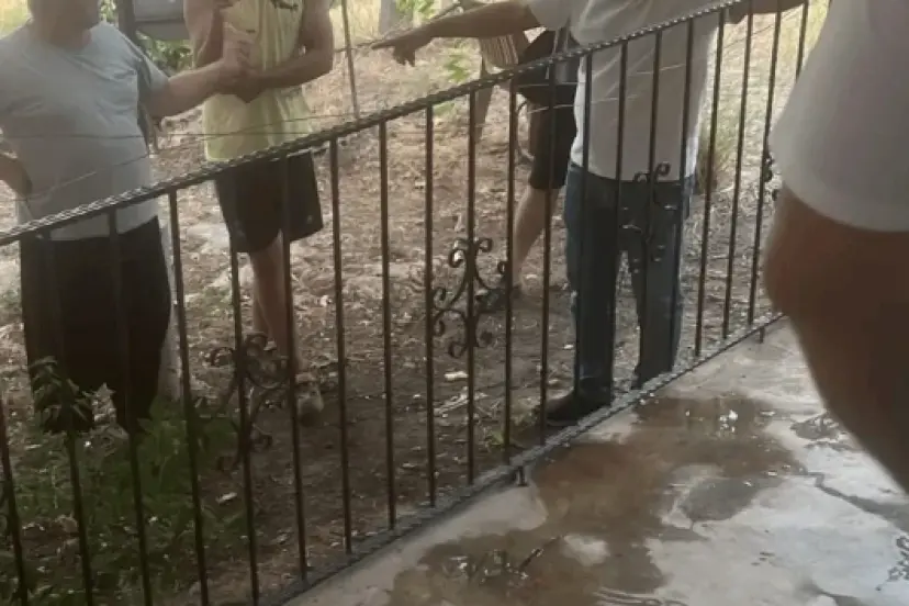 Konserve yapan ailesine yardım eden çocuğun ayağına 'yorgun mermi' isabet etti