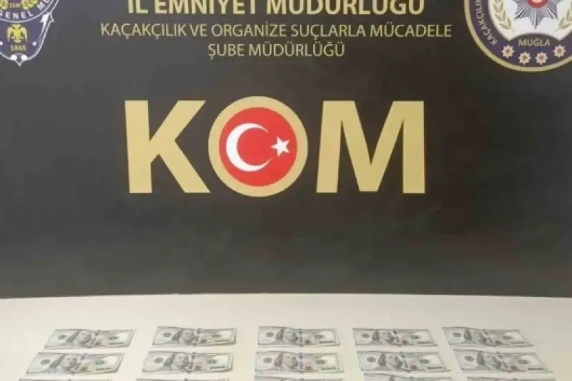 Muğla’da sahte dolar operasyonu