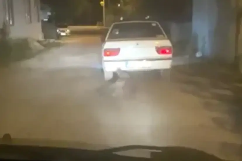 O anlar kayda alındı: Yaban domuzunu otomobilin arkasına bağlayıp sürükledi