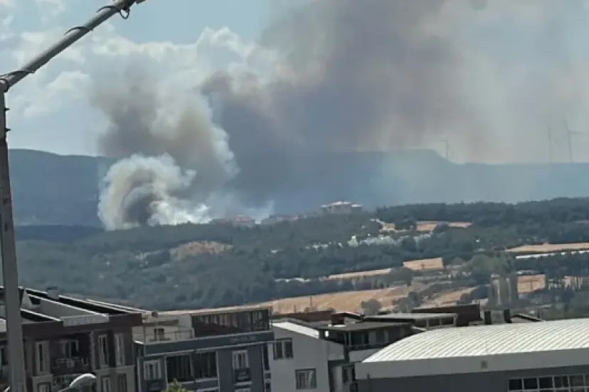 Çanakkale’de orman yangını