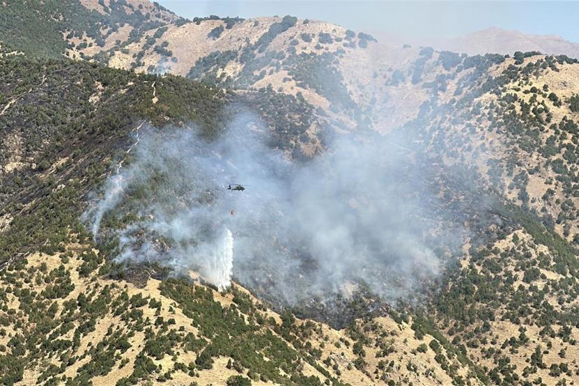 Hakkari'de ormanlık alanda yangın