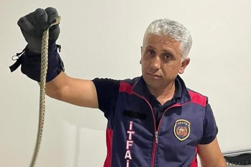 İtfaiyeden yılan operasyonu