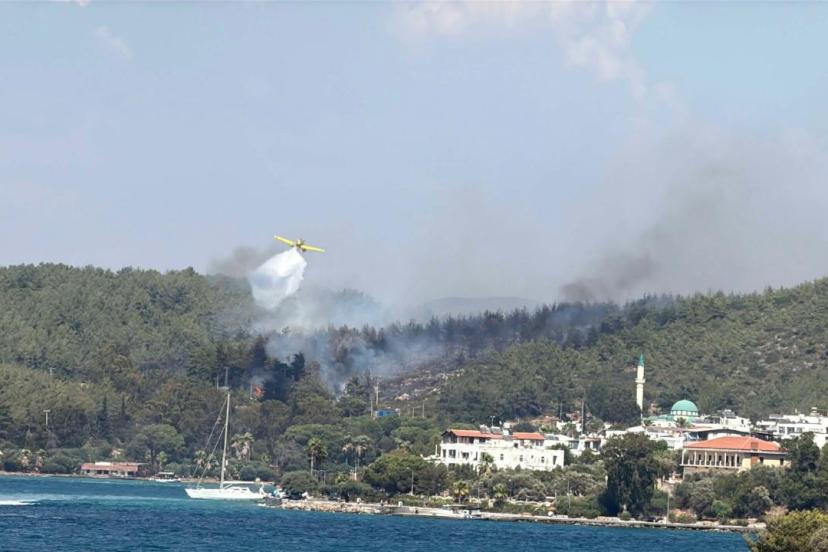 Muğla Bodrum'da orman yangını