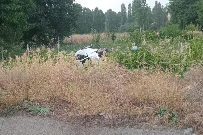 Otomobil mısır ekili araziye devrildi: 2 yaralı