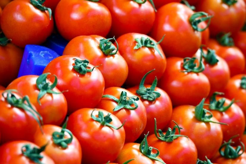 Salmonella salgınının kaynağı çeri domatesler mi?