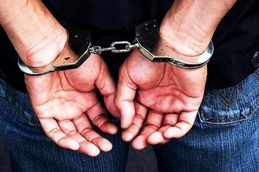 Van'da terör operasyonu: 15 gözaltı